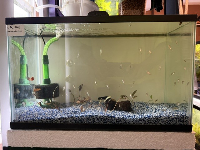 The Most Important Tank:  The Hospital Tank image 1